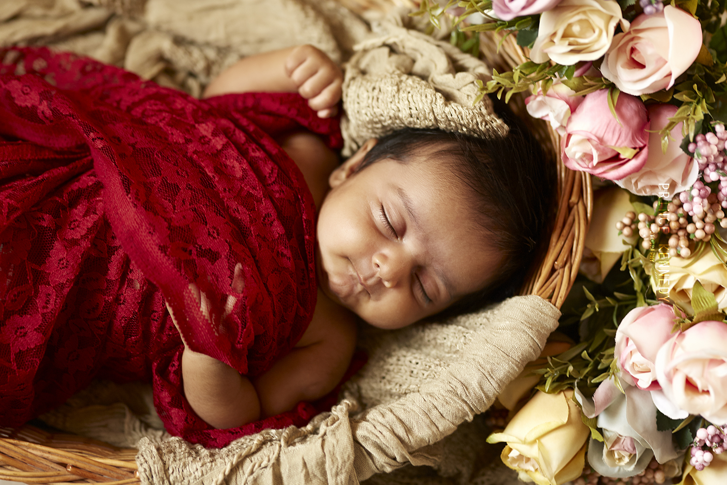 New Born Portraits